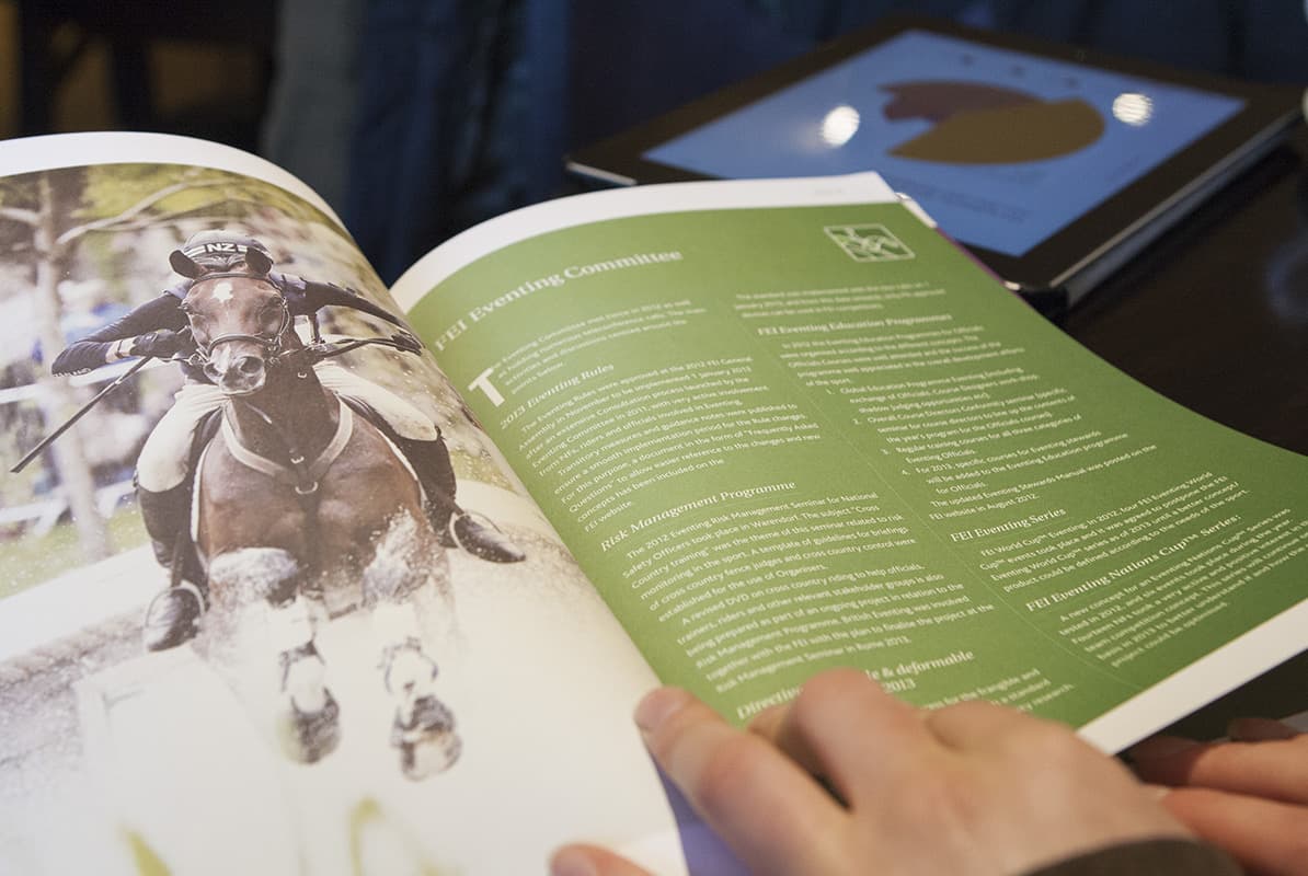 FEI Annual Report gallery 1