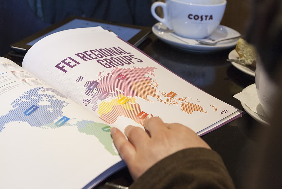 FEI Annual Report gallery 2